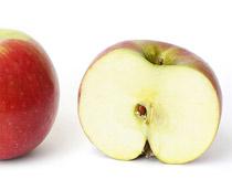 Apple2-B.jpg