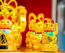 Asia-Cats1-B.jpg