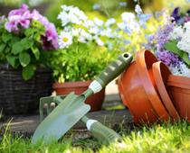 Dig-Trowel-B.jpg