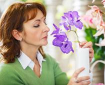 Flower-orchid-B.jpg