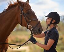 Poet-Horse-B.jpg