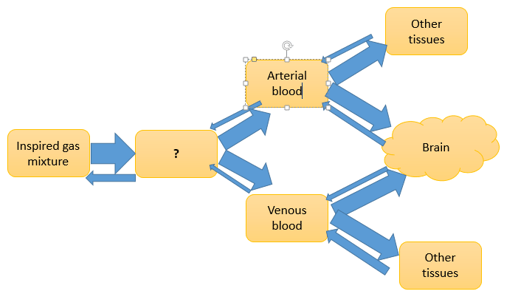 Questiondrug-pharmaceutical-biotechnology-questions-answers15.jpg