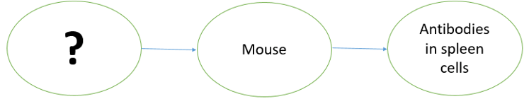 Questiondrug-pharmaceutical-biotechnology-questions-answers2.jpg