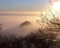 Raffle-foggy-B.jpg