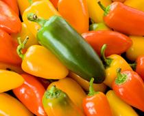 Spain-jalapeno-B.jpg