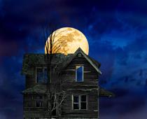 Speaking-House-B.jpg
