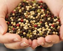 Spice-Pepper-B.jpg