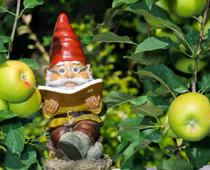 True-Gnome-B.jpg
