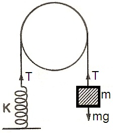 ch-10_que_no-102_img_no1.png