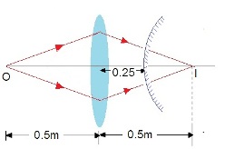 ch-11_qn-281Exp_img_no1.png