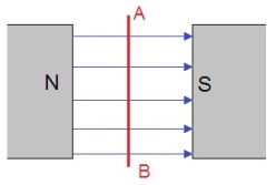 ch-18_que_no-209_img_no1.png