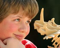 english-squish2-dinosaur-small.jpg