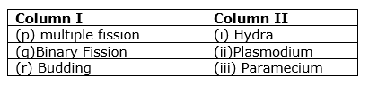 how-do-organisms-reproduce-mcq-1.png