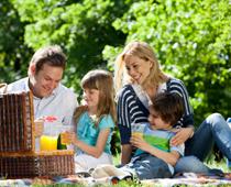 imp-1-picnic-B.jpg