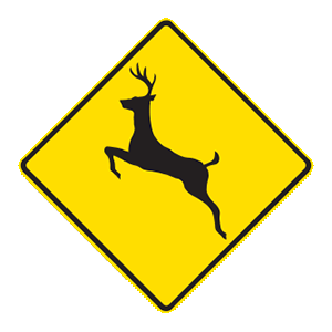 indiana-car-driver-permit-test-img100.png