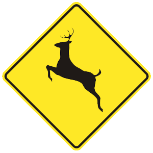 rhodeisland-car-driver-permit-test-img144.png