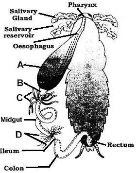 unit-2_ch-6_que_no-50_img_no1.png