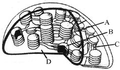 unit-3_ch-2_que_no-308_img_no1.png