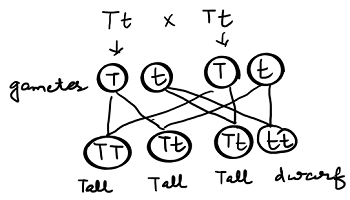 unit-7_ch-1_qn-28Exp_img_no1.png