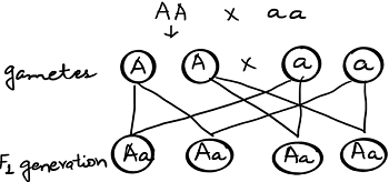 unit-7_ch-1_qn-31Exp_img_no1.png