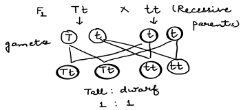 unit-7_ch-1_qn-321Exp_img_no1.png