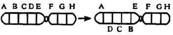 unit-7_ch-3_que_no-196_img_no1.png