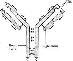 unit-8_ch-2_que_no-318_img_no1.png
