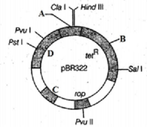 unit-9_ch-1_que_no-235_img_no1.png